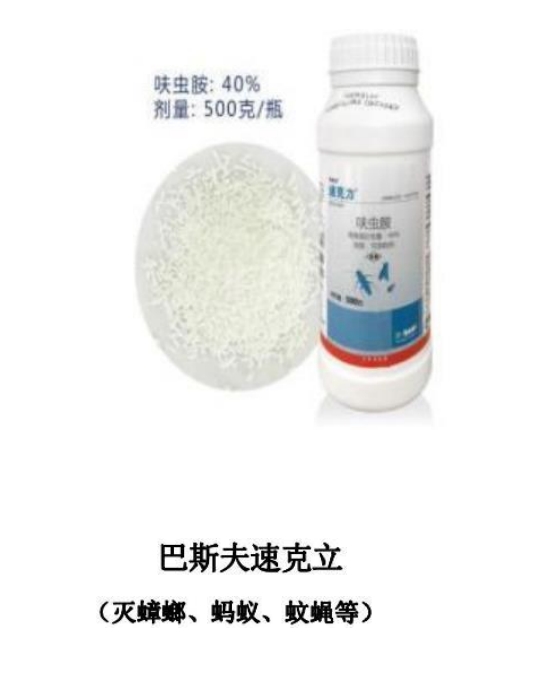 ��˹���ٿ���