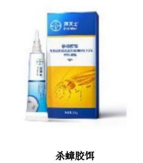 �����z�D